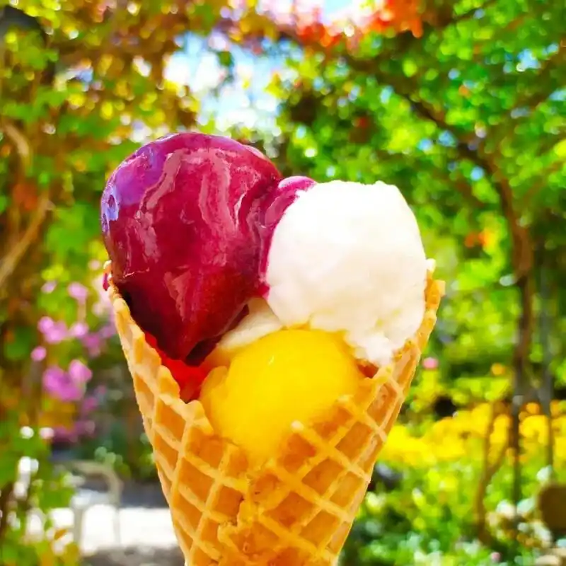 Vallee_Drome_Forest_Saou_2020_2