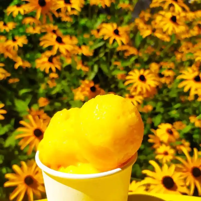 Vallee_Drome_Forest_Saou_2020_3