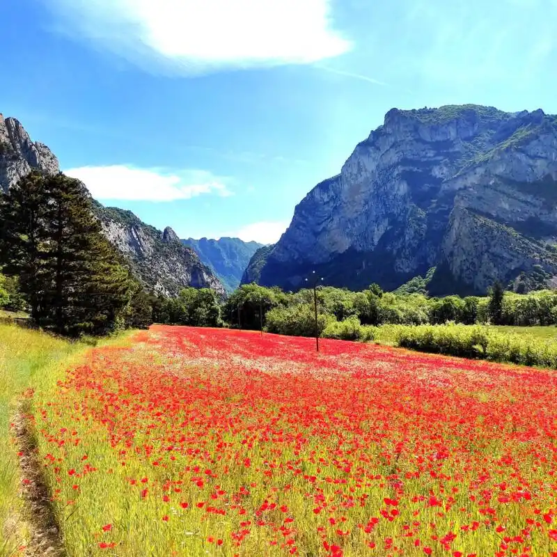 Livraison_Epicerie_Saou_2021