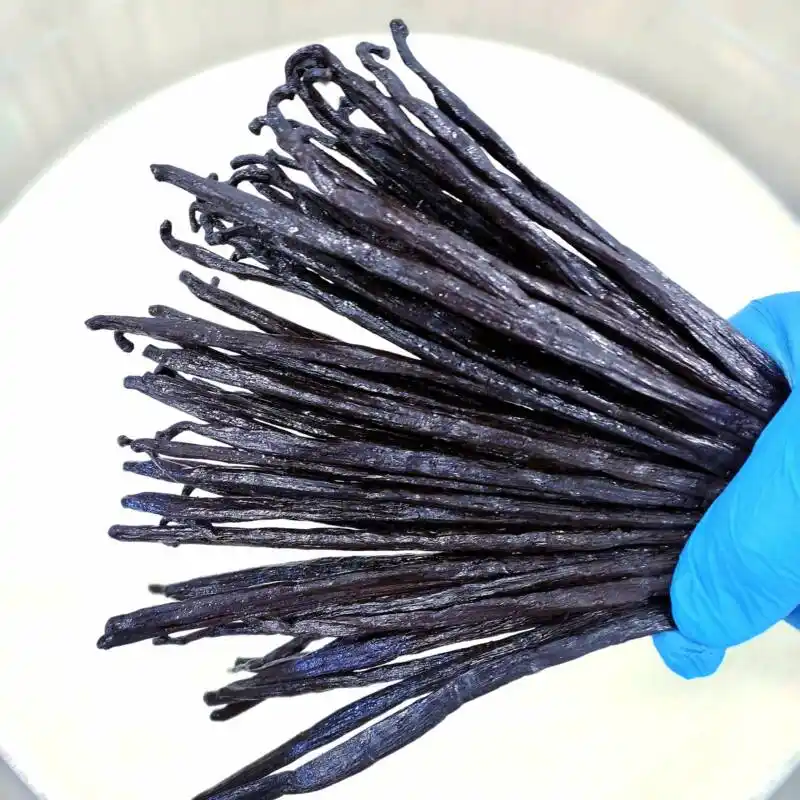 Secret_Vanille_Madagascar_2021