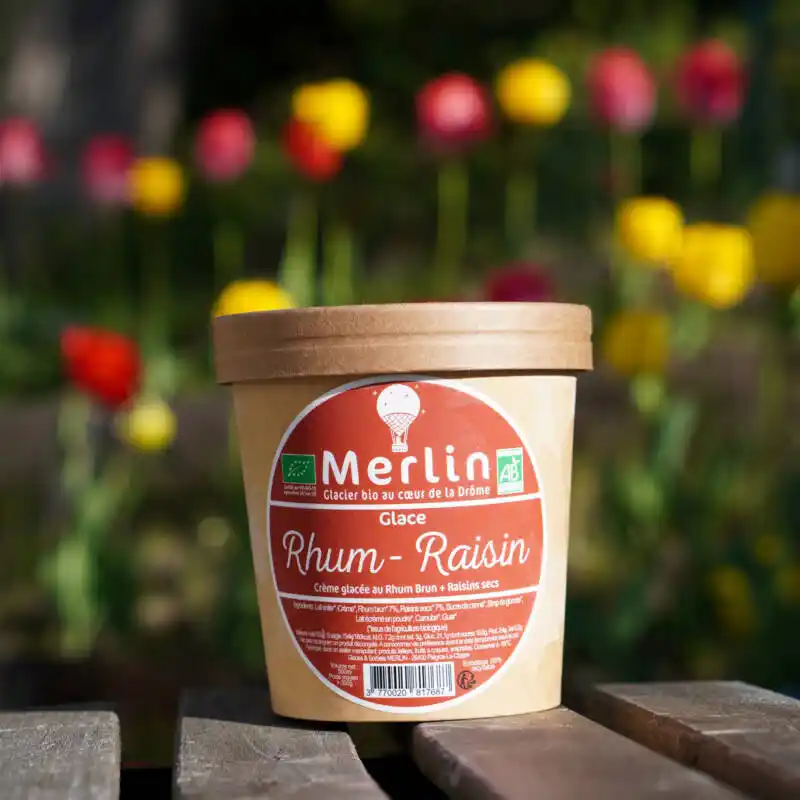 Glace_Rhum_Raisins_2023