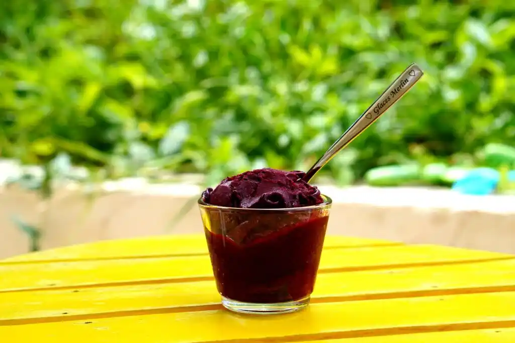 Sorbet_Myrtilles_2023