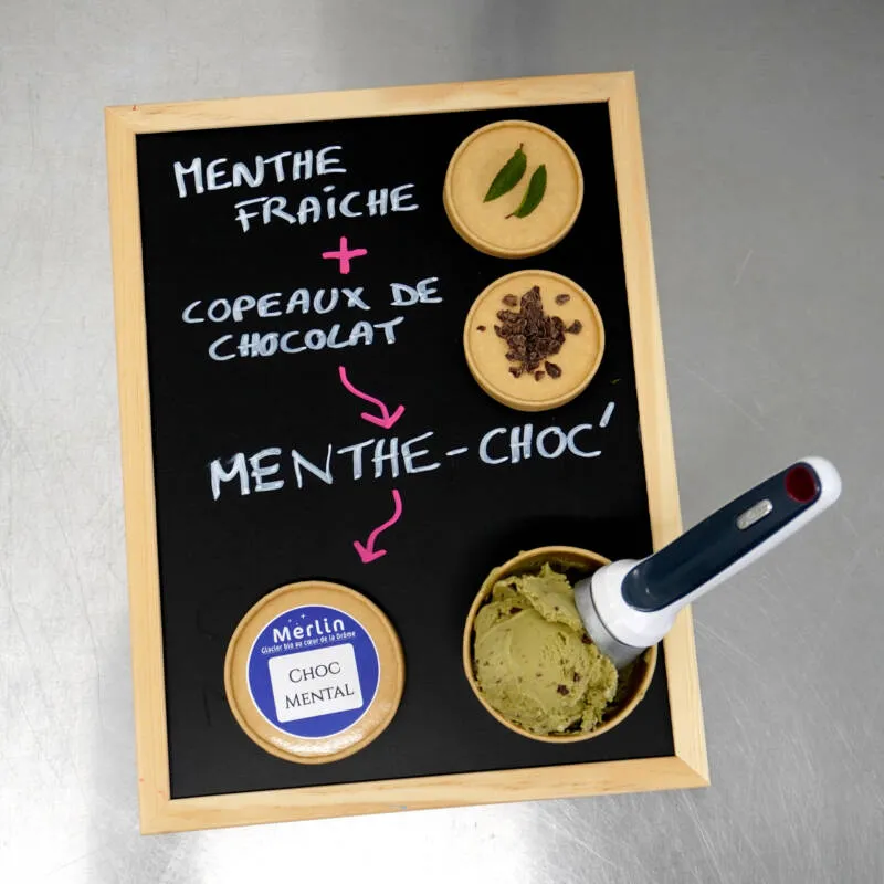 Glaces-Merlin_Choc-mental