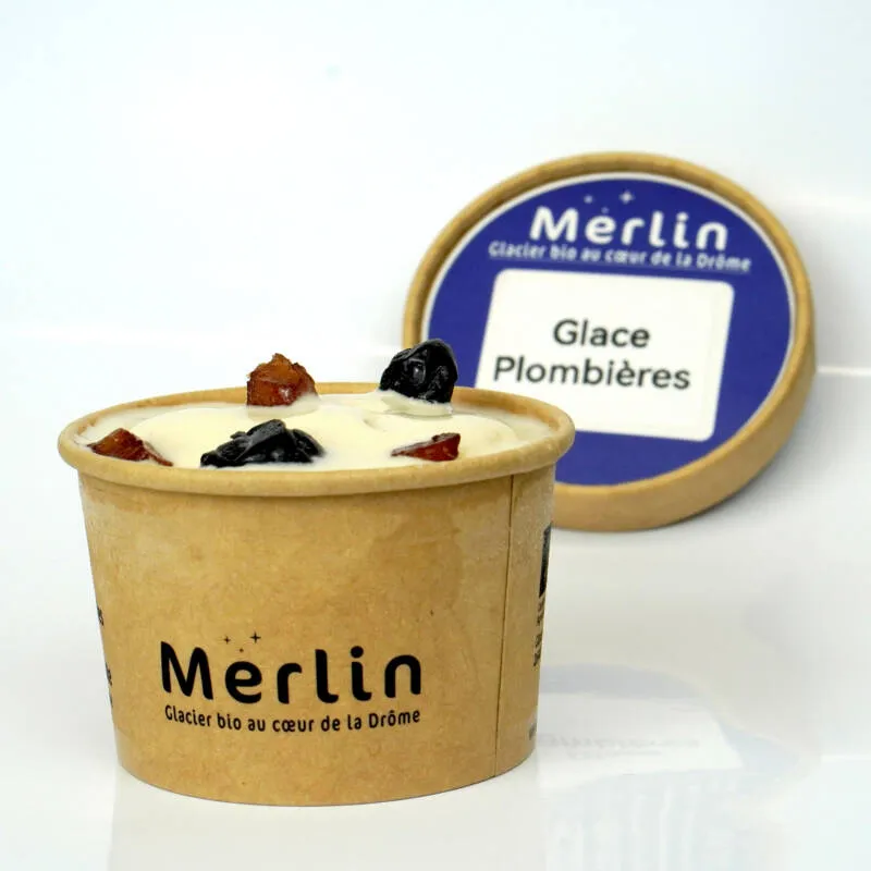 Glaces_Merlin_La_Plombieres_2
