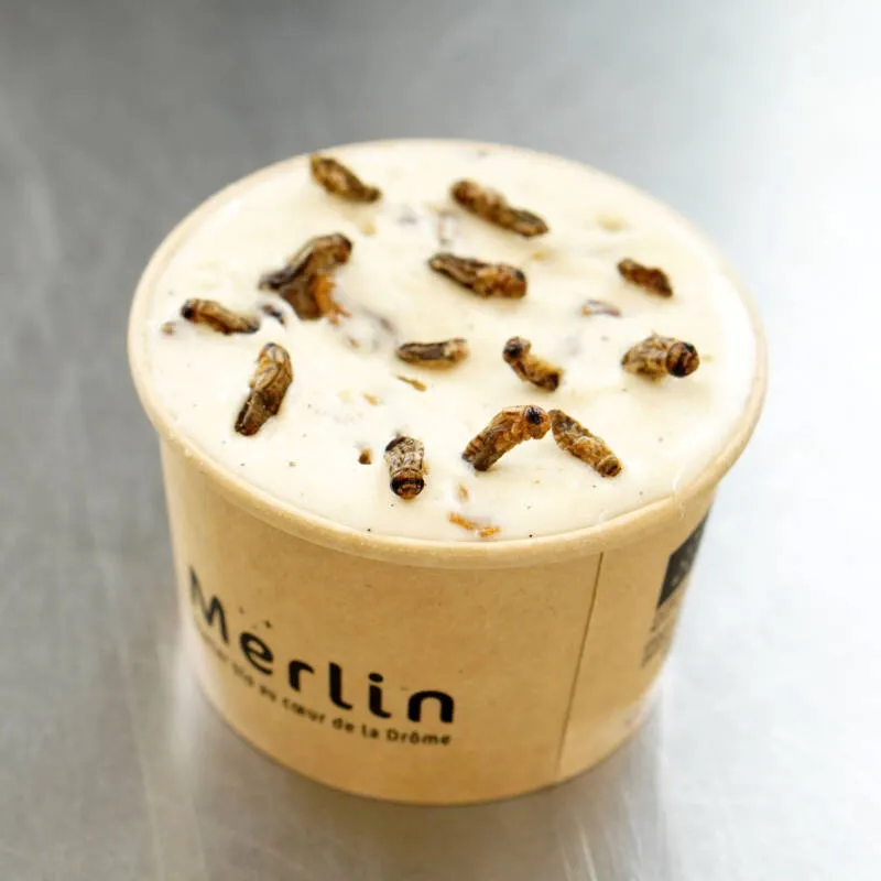 Merlin_Glace-aux-Insectes_1