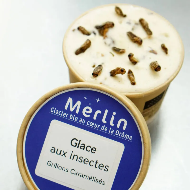 Merlin_Glace-aux-Insectes_3