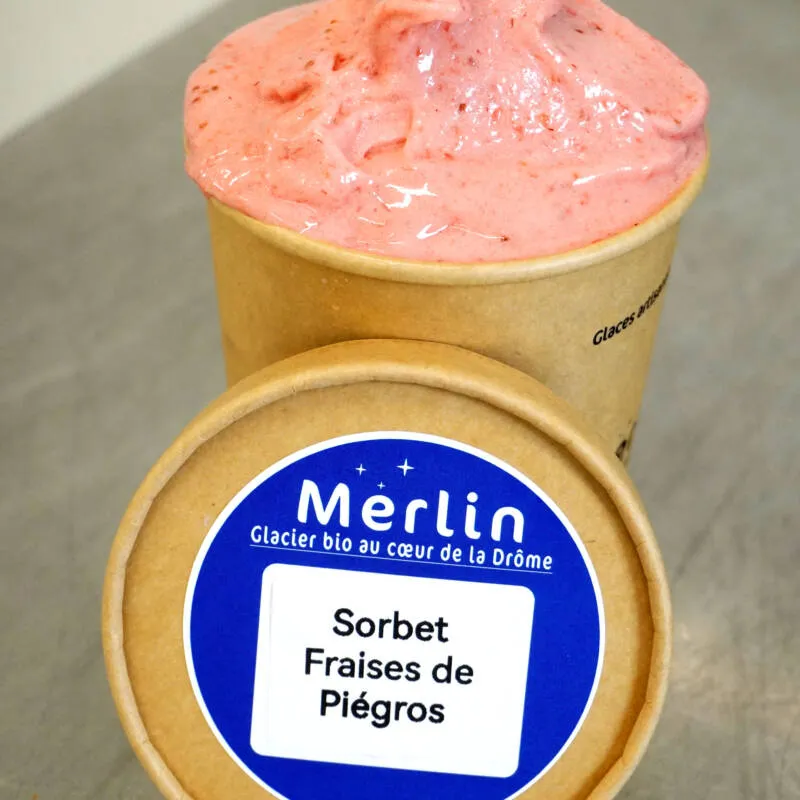 Merlin_Sorbet-Fraise-de-Piegros-2