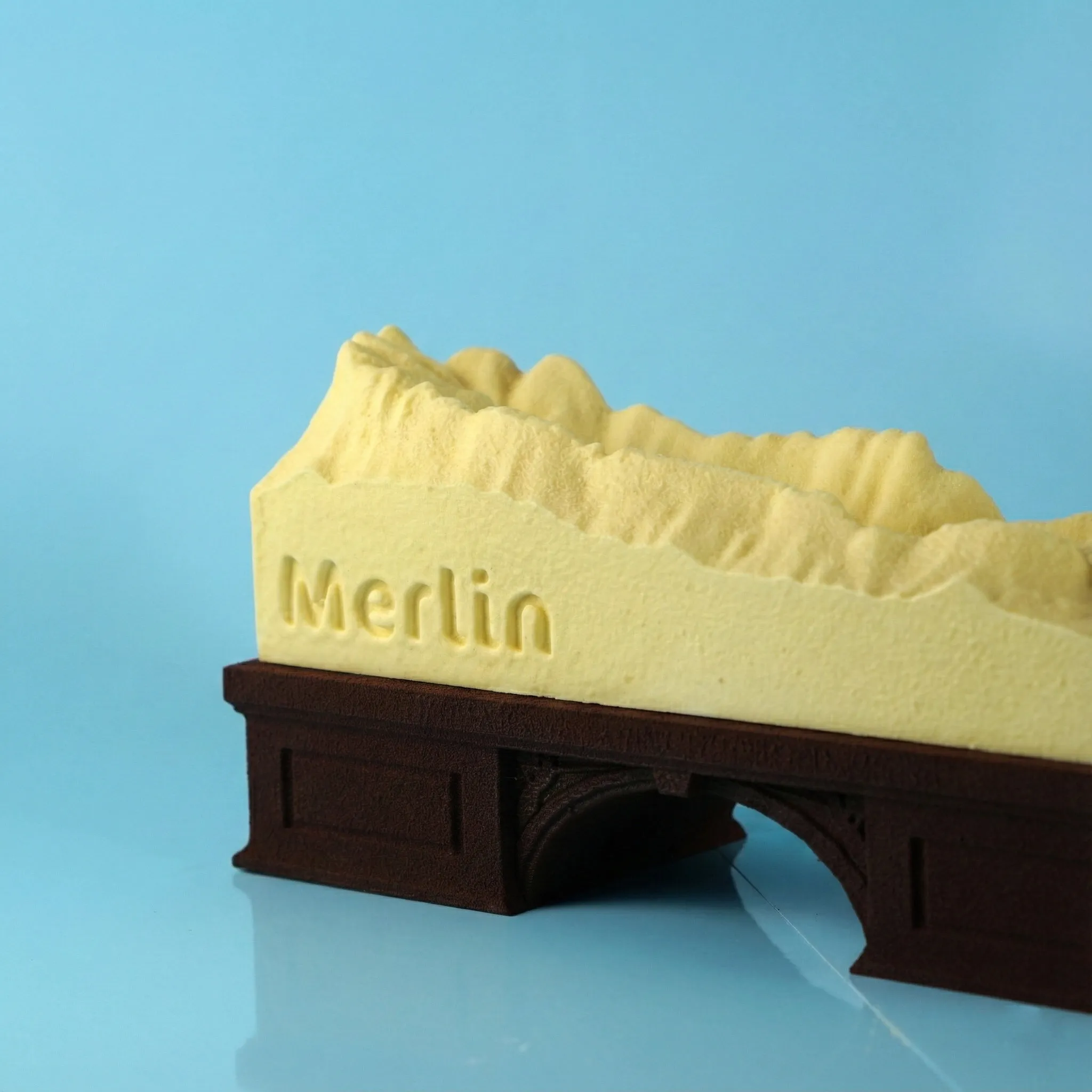 Buche2025_ForetDeSaou_Merlin