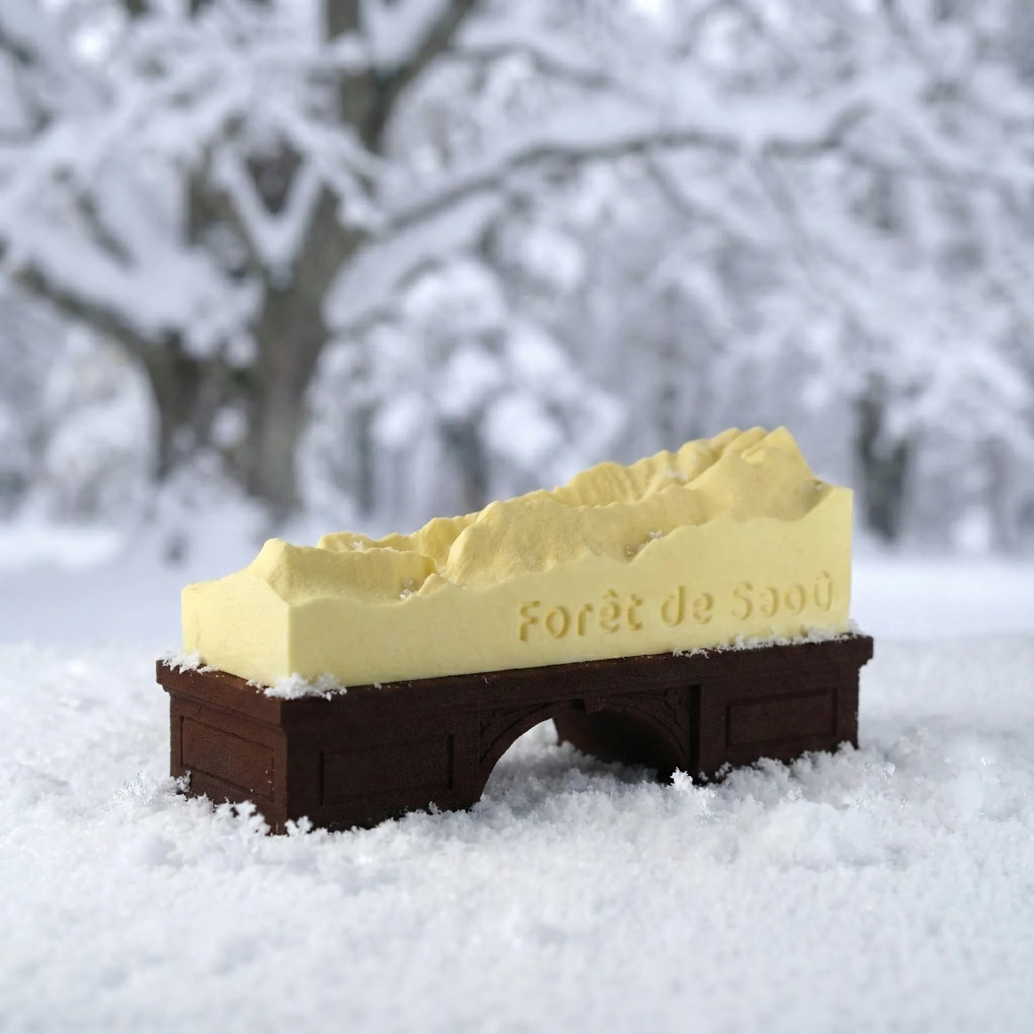 Buche2025_ForetDeSaou_Neige