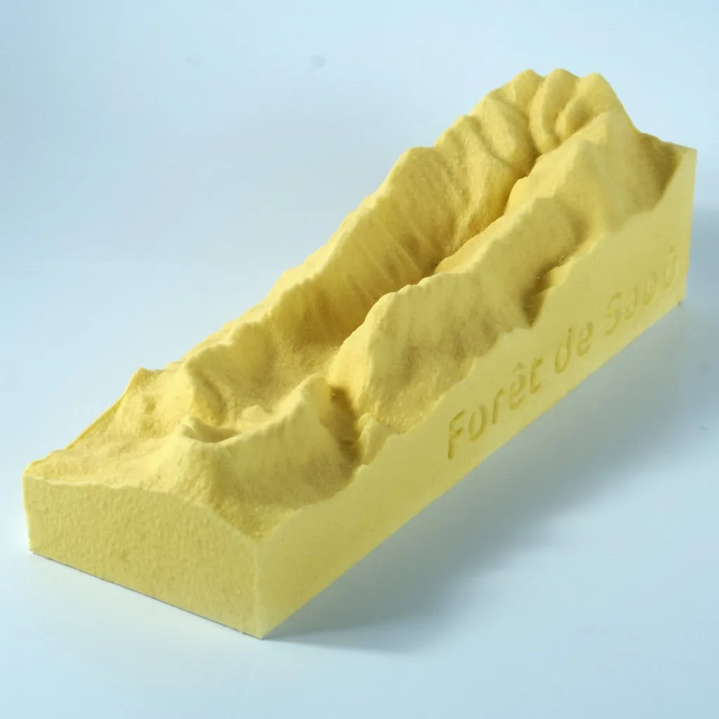 Buche2025_ForetDeSaou_VersionStandard