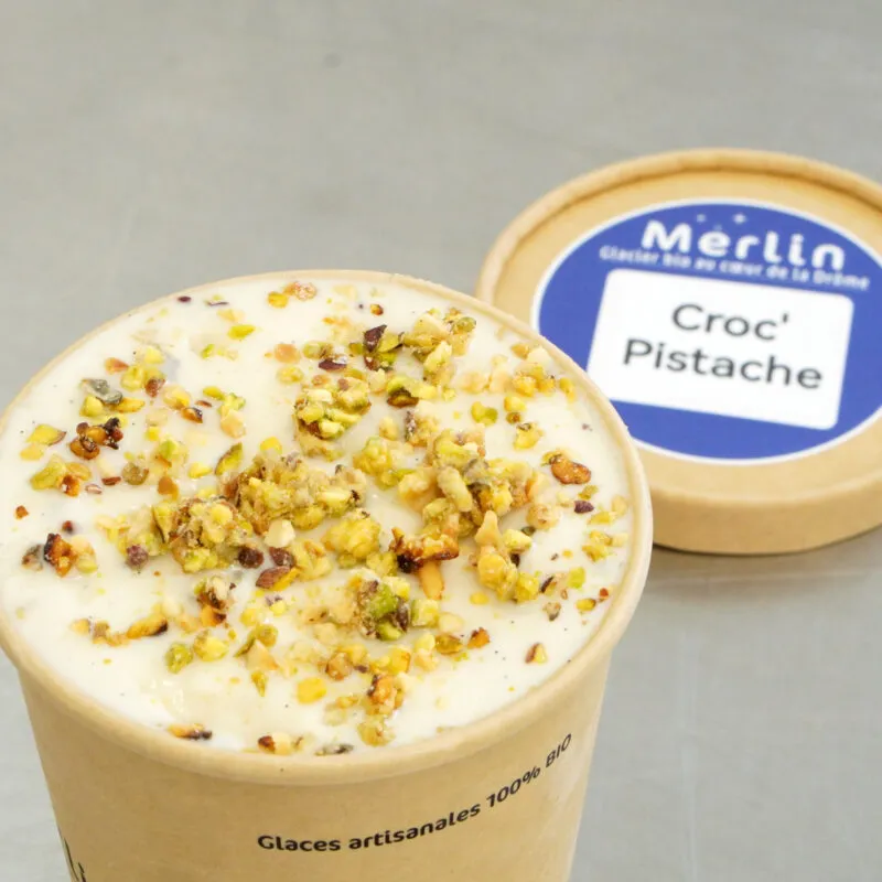 Merlin_Glace-CrocPistache-2
