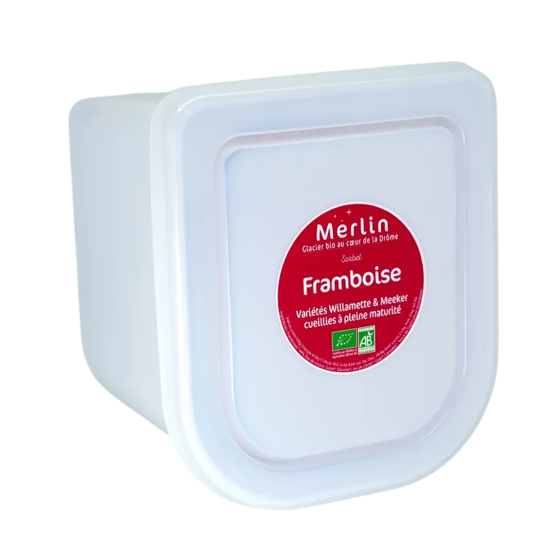 Bac de glace 2.5L pour restaurant