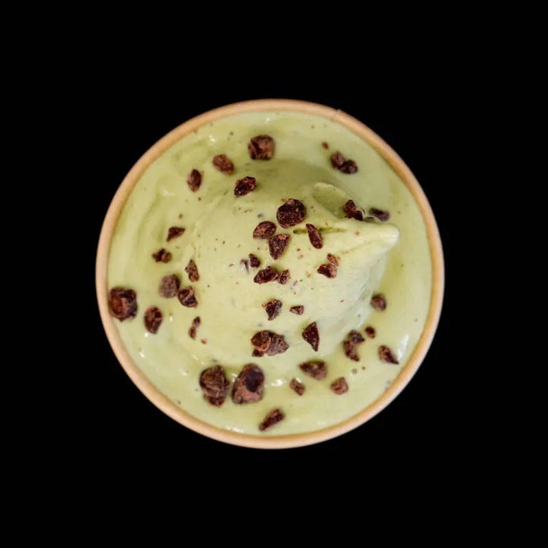 Basilic3