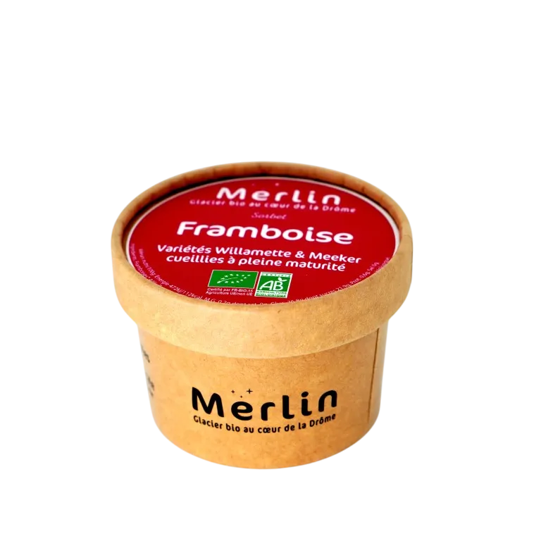 Petit pot de glace 100ml