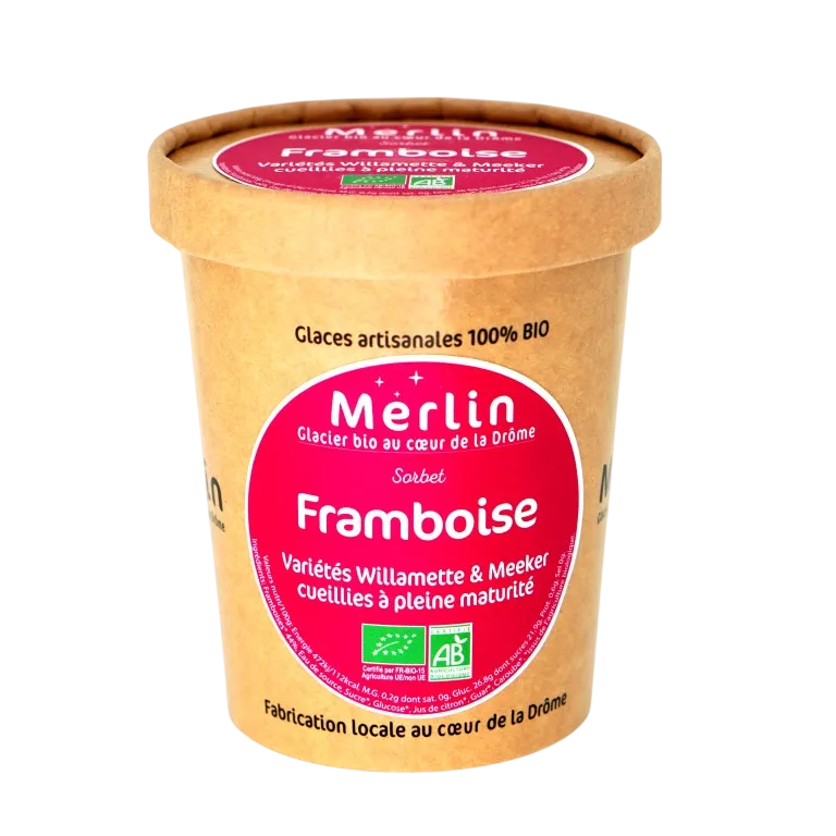 Grand pot de glace 450ml